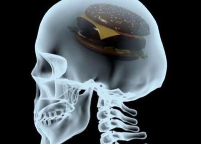 ورود غذاهای چرب به مغز منجر به افسردگی می گردد