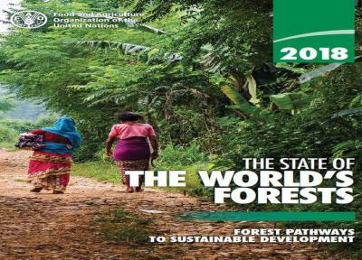 استفاده از جوامع بومی، رمز موفقیت مدیریت پایدار جنگل ها