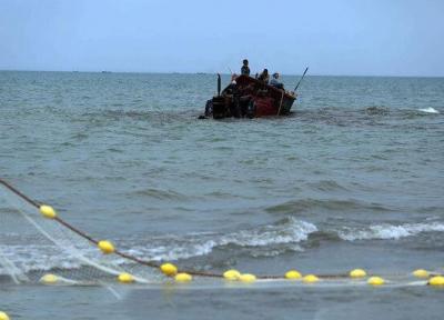 صید 19 هزار تن ماهی کیلکا توسط صیادان مازندرانی